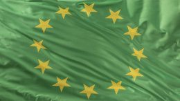 EU Green Deal: Bold headlines, elusive impact