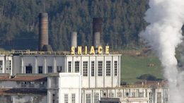 Sniace, one of the symbols of Spanish industry, closes: fails to meet obligations and seeks liquidation